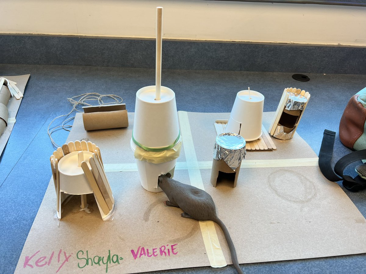 This week scholars had to design and create a stationary puzzle feeder. My teacher heart was happy seeing them collaborate and the ingenuity used to create such creative challenges for their feeders. #risdpoweroflove #summerschool #ignite @CBEBears
