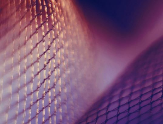 Fibre Society Conference Successfully Held in Leuven dlvr.it/SSLjTv