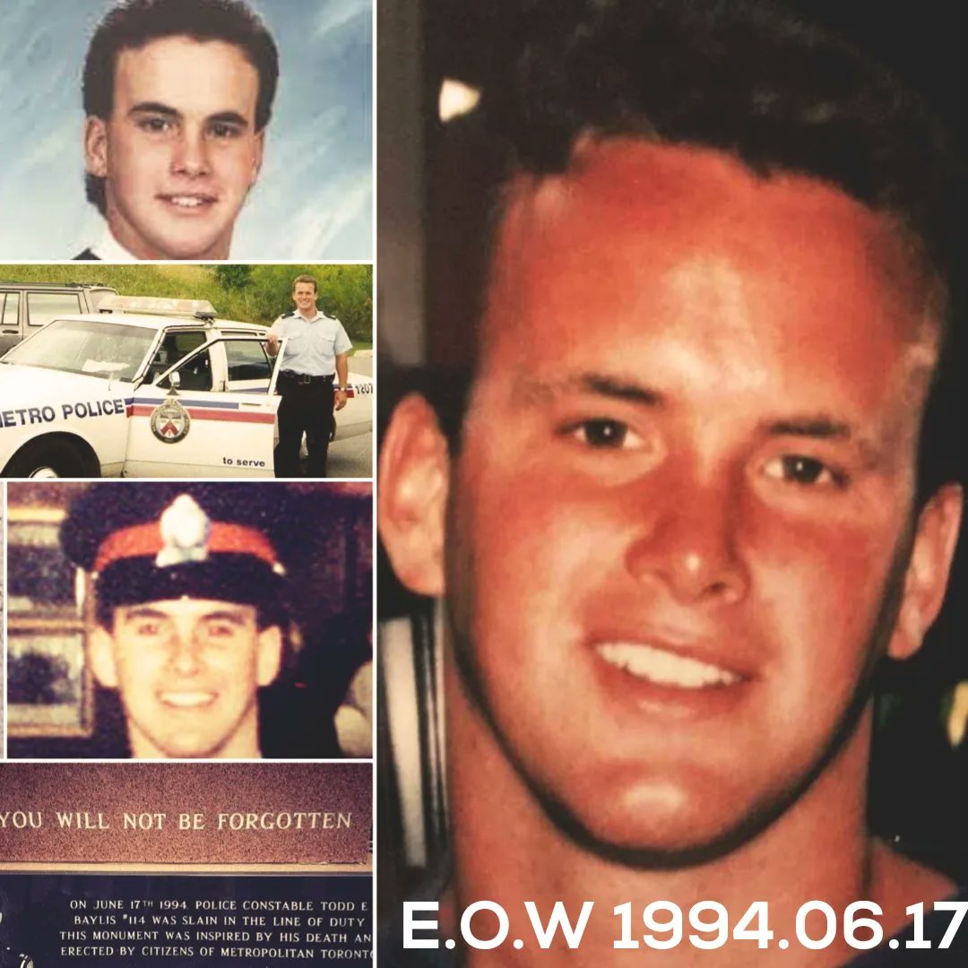 Laurie McCann tweet media