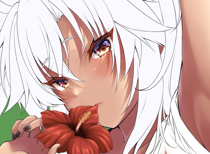 「blush hibiscus」 illustration images(Latest)