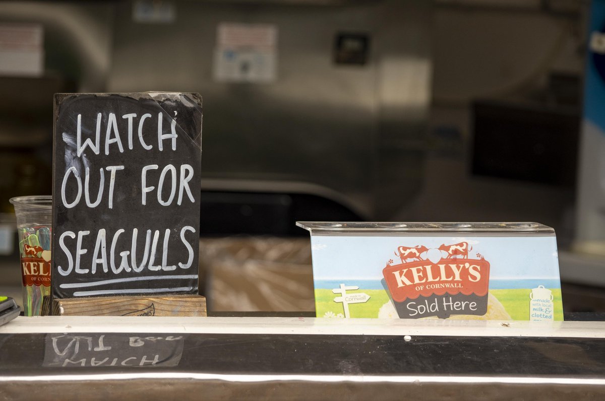 Welshot Imaging tweet media