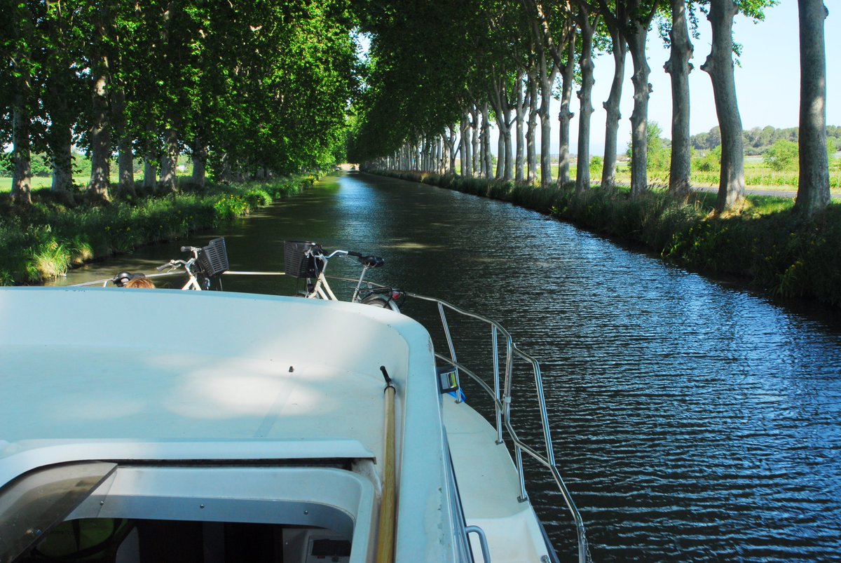 🥵 Besoin d'un peu de fraîcheur ?
Fuyez les îlots de #chaleur des villes, et venez profiter de l'ombre des arbres au bord des canaux et rivières navigables de France🌳
Il nous reste des disponibilités pour vous mettre au frais avec en ce moment une remise de 30% sur nos locations