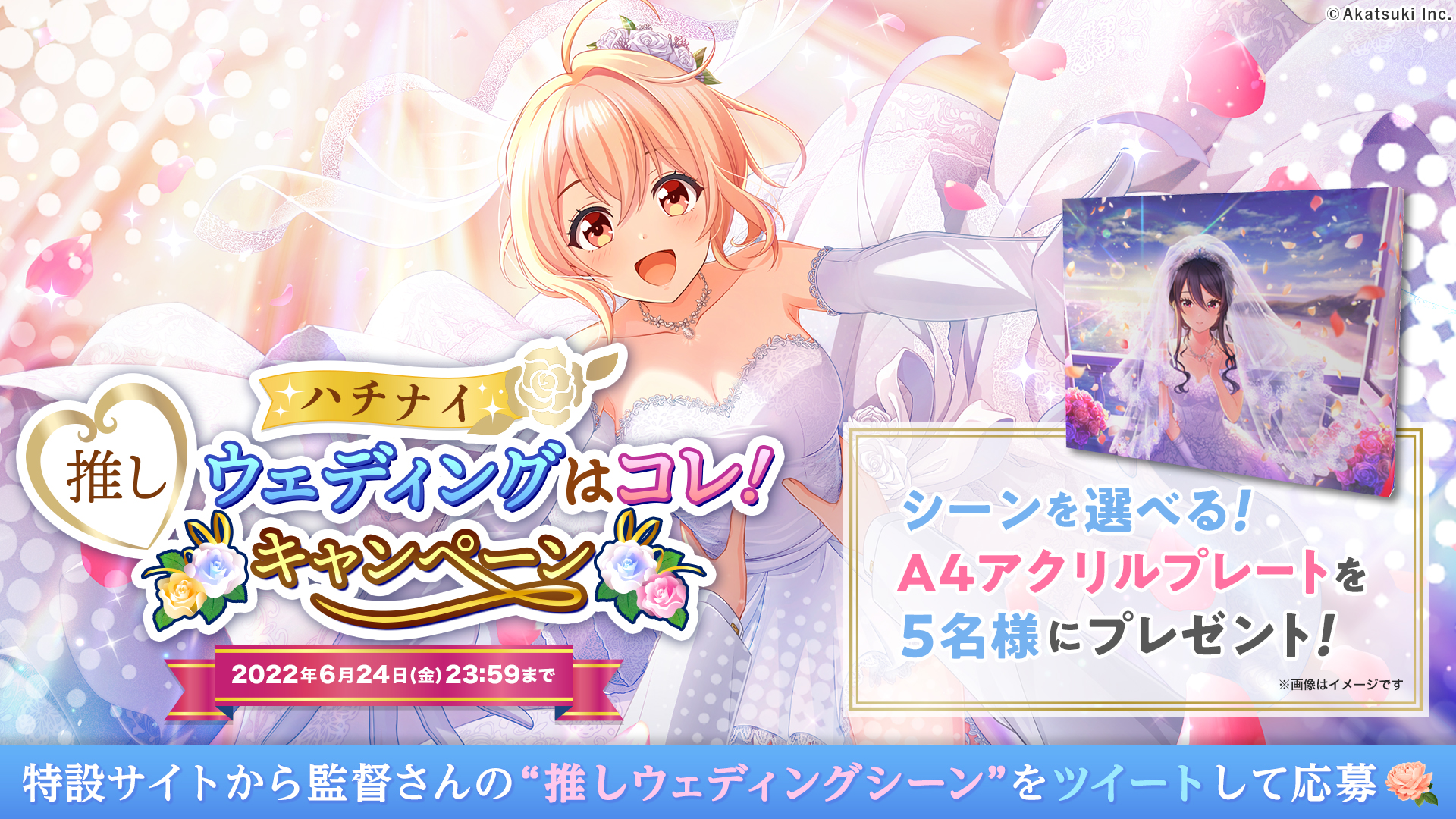 ハチナイ アクリルプレート ハチナイ アクリルプレート