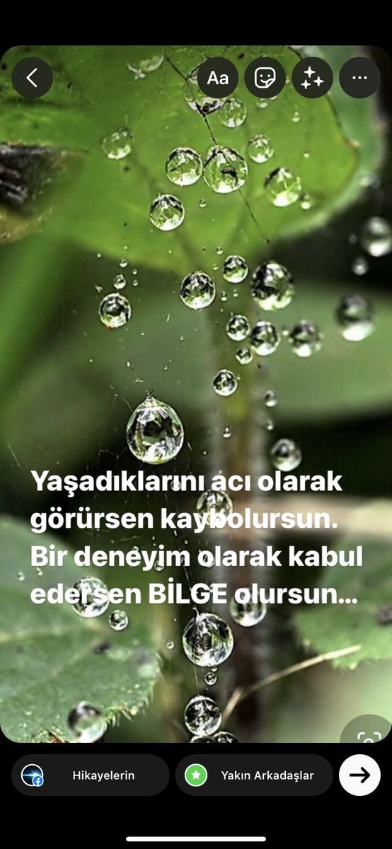 Yaşadıklarını acı olarak görürsen kaybolursun. Bir deneyim olarak kabul edersen BİLGE olursun….. #yaşamkoçu #farkındalık #içselyolculuk #innerpeace #lifecoaching #awakening #içhuzur #cuma #mucize #yoga #farket