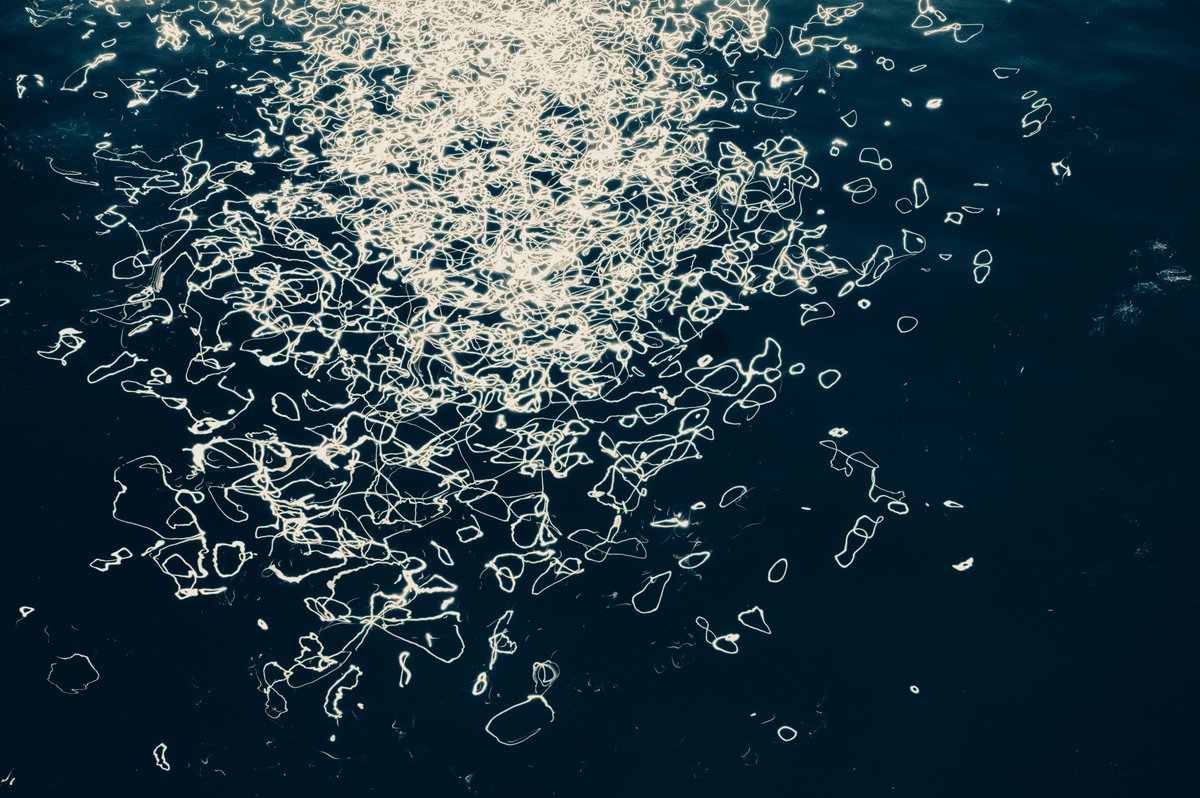 Underdog tweet media