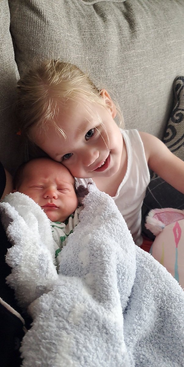 Daren Lambert tweet media