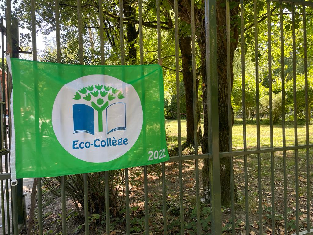 Ecophylle tweet media