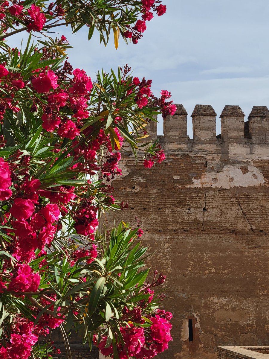 SEP_Aventuras's tweet photo. Starting the day at Alhambra, so beautiful! #sepaventuras #seprams https://t.co/y9XAosoCOD