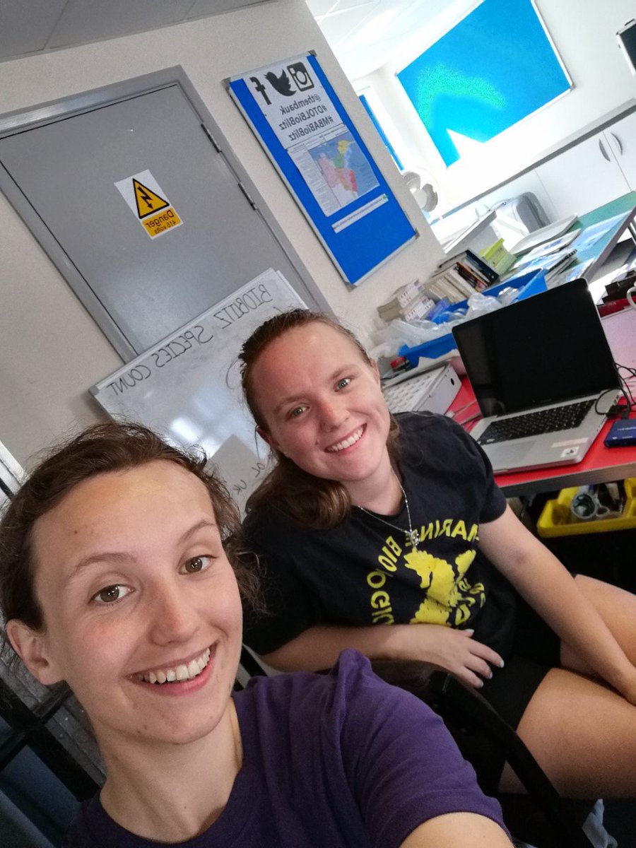 DASSH's tweet photo. Data desk is Bioblitz ready! ๐๐
#DTOLBioblitz #MBABioblitz @thembauk https://t.co/scm0h6Qx1O