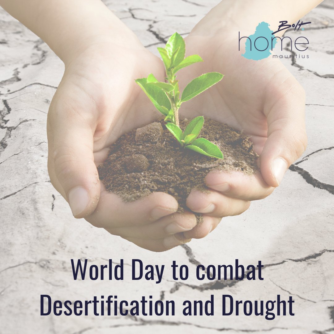 move2mauritius's tweet photo. The World Day to Combat Desertification and Drought is observed every year to promote public awareness of international efforts to combat desertification.

#drought #climatechange #water #nature #globalwarming #agriculture #climateemergency #wherefoodcomesfrom #helpafarmer https://t.co/SyUCb7LNot
