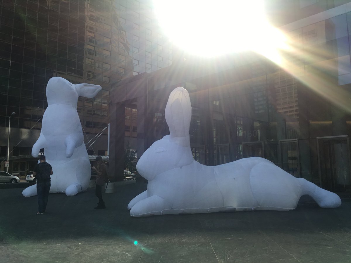 ClaireDeVille3's tweet photo. When the giant inflatable rabbits came to #Denver
June 17, 2017
Iโve always loved rabbits. You can see mine tonight at #prismworkspaces #openstudio
Cool off tonight with free art, refreshments, and parking! ๐ฐ๐ฅ๐ผ๐
#carolegoodwinart #denverartist #art https://t.co/KD36R0k1VJ