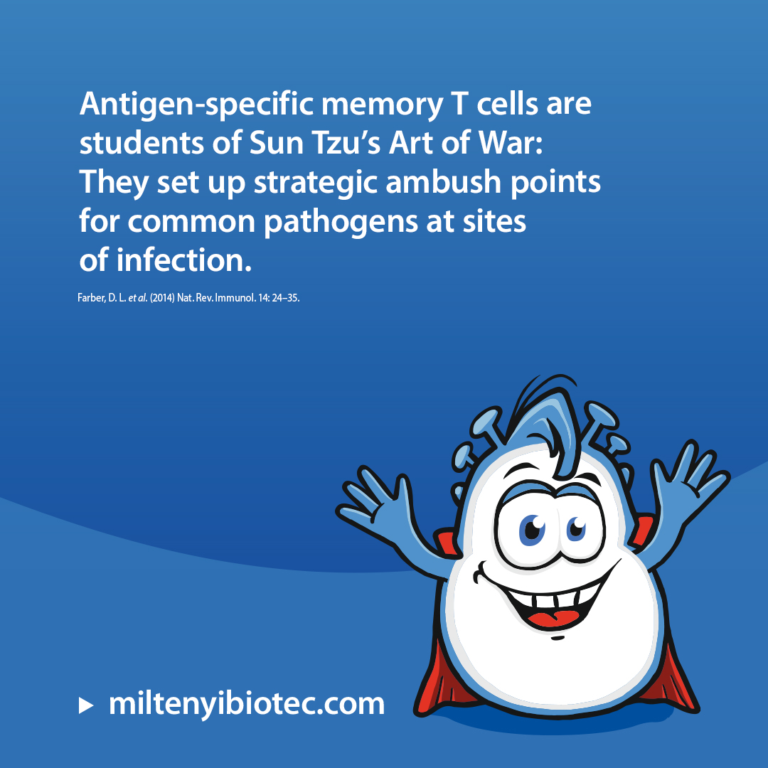 miltenyibiotec's tweet image. Did you know? 👋 #FridayFacts