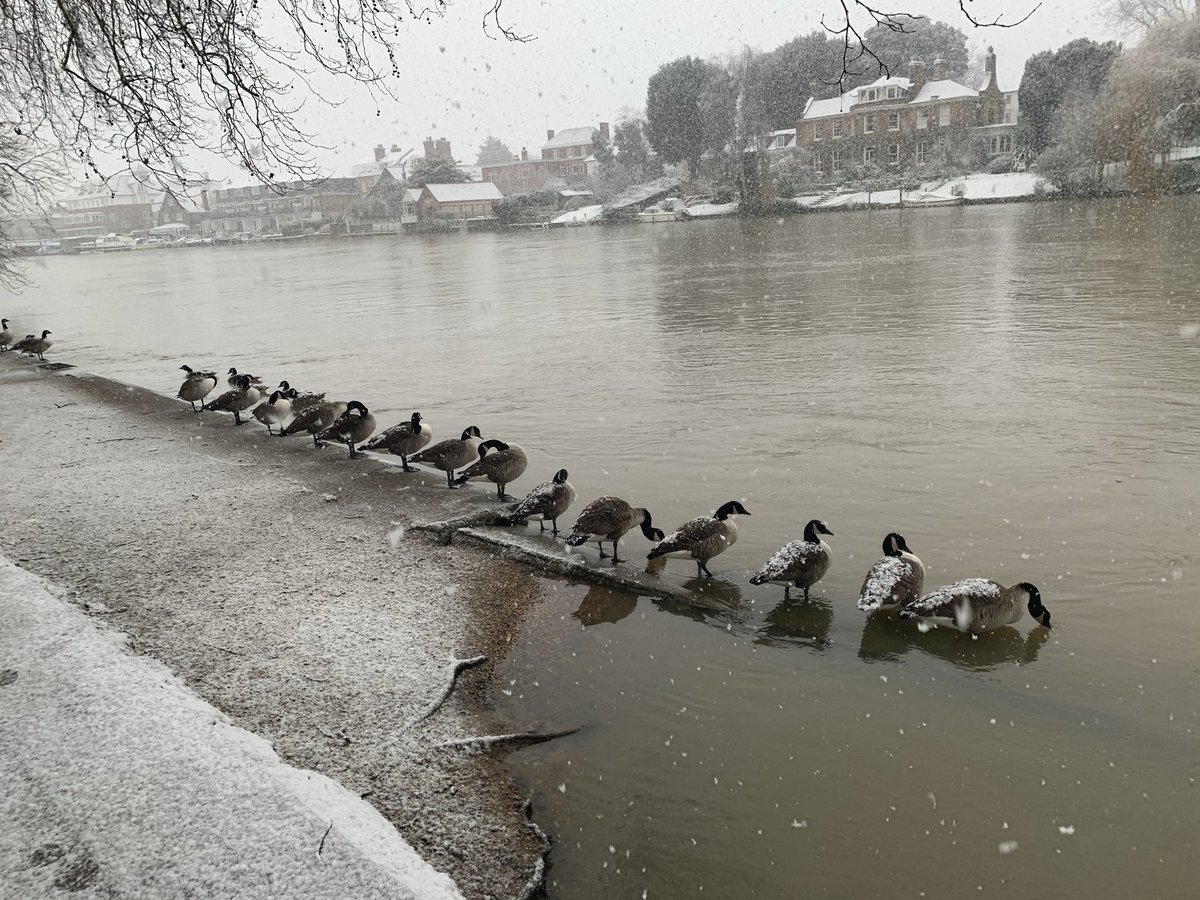 First Robot assisted thoracic 🫁surgery done ✅ @StGeorgesTrust