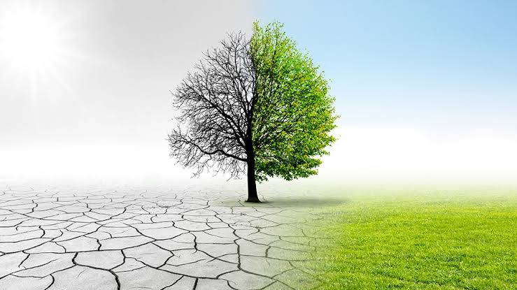 Spinxo267's tweet photo. Planting a tree is much better than wearing a mask to be safe from pollution.Prevention is better than cure. Planting trees would ensure clean and fresh air and would take away the need to wear masks to protect ourselves against pollution, altogether.
#GoGreen
@SYNCHPakistan https://t.co/v5SQWYPGig