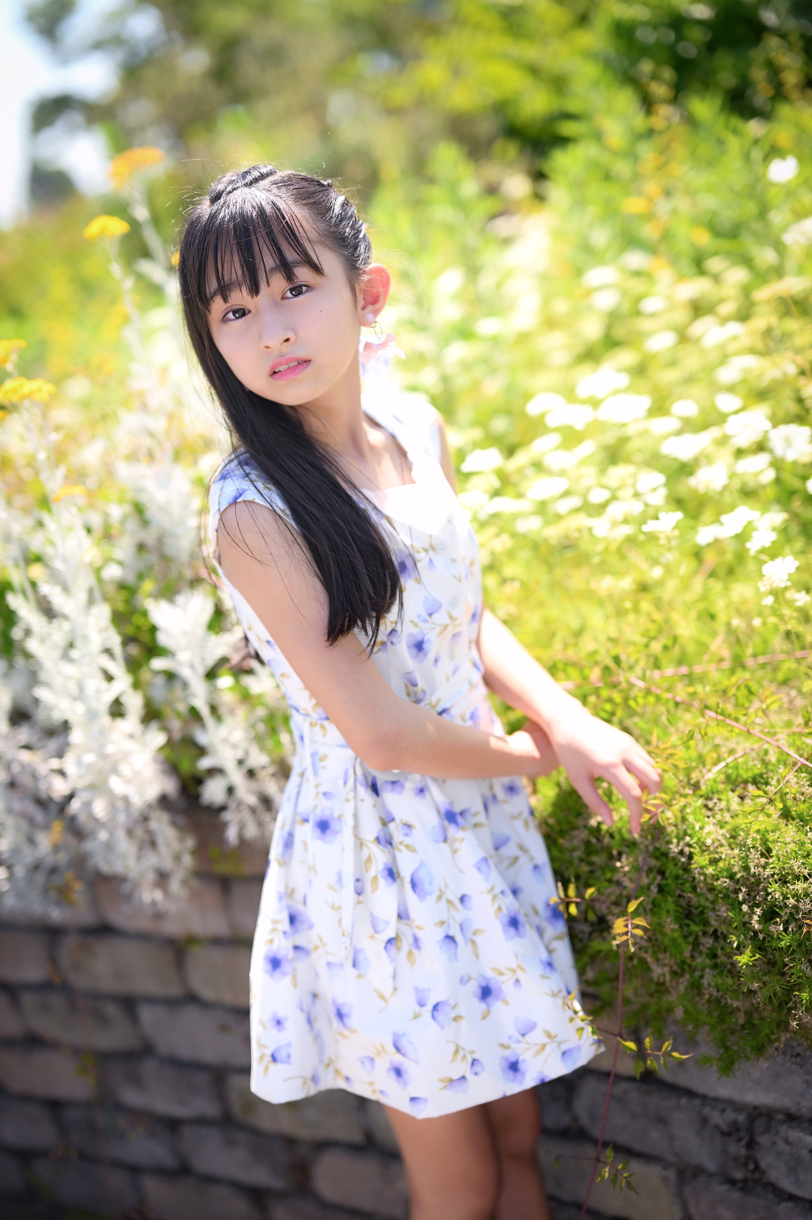 せたがや on X: 