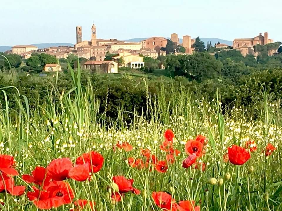 Città della Pieve Infopoint tweet media