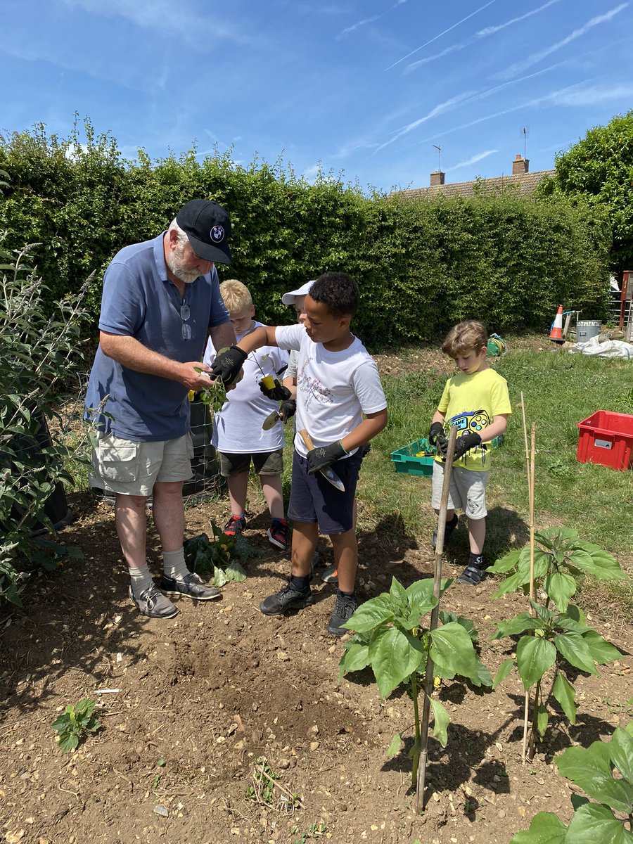 TewinCowper's tweet photo. We love our allotment Thursdays 🌱 https://t.co/qC6LdsofXp