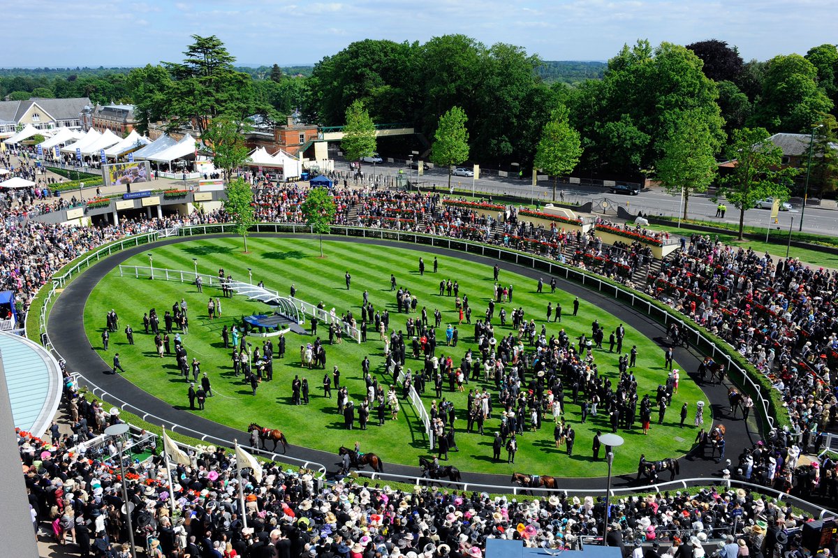 TWEnclosure's tweet photo. ROYAL ASCOT DAY 5 BETS

✍🏼 NAP
https://t.co/TS3wuxdjXT

✍🏼 E/W
https://t.co/Twa5DdgmXT

✍🏼 DH
https://t.co/LwiXLGIPqS

✍🏼 WD
https://t.co/46IIJ7t0hk

✍🏼 E/W L15
https://t.co/leAzhUaw5d

18+ | https://t.co/8Yo2IZMG5m https://t.co/NcGL2TrPcq