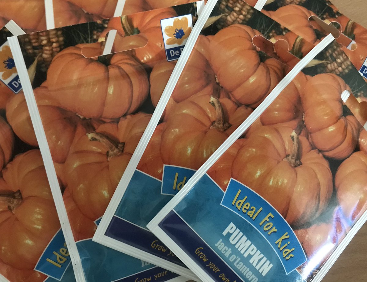 cpea88's tweet photo. This week is #GrowingForWellbeing week, encouraging people to experience the joy of watching something you have planted grow ๐ฑ Thank you @UHBCharity for funding seeds for patients and staff on YPU to grow their own pumpkins ๐ https://t.co/SzY1urt6nb