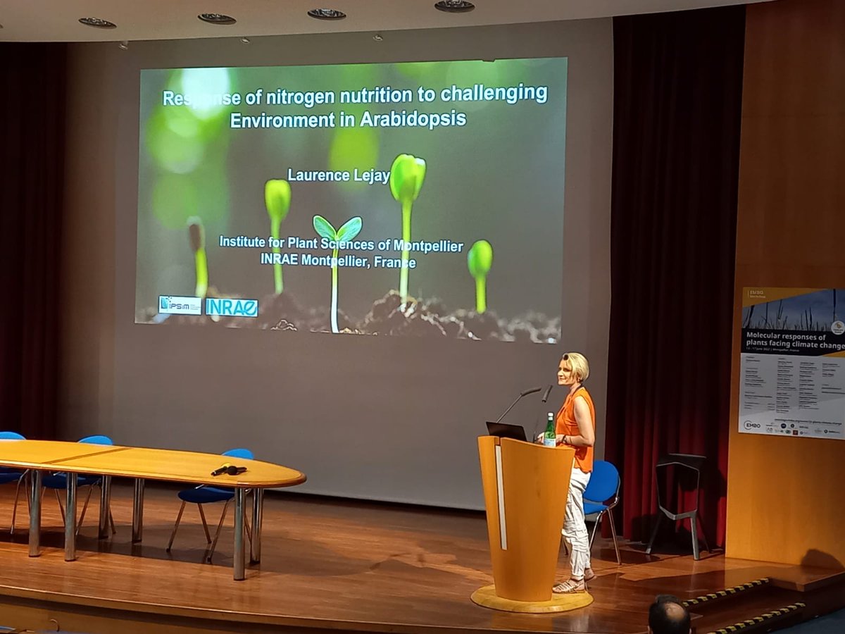 Laurence Lejay talks about nitrogen nutrition in Arabidopsis 
@IPSiM4 @EMBO @CNRS @INRAE_France