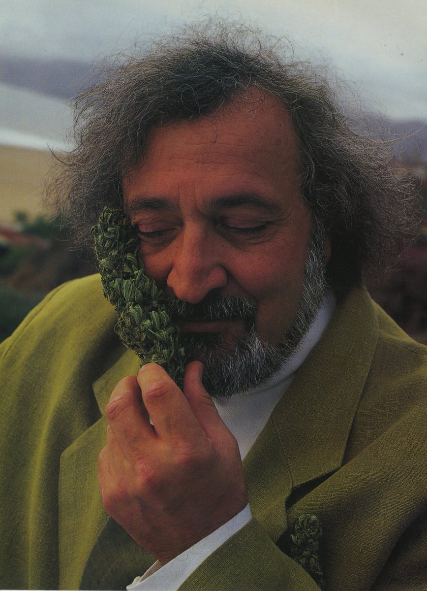 Jack Herer, el Emperador del Cáñamo: “El cultivo del #cáñamo como lo diseñó la naturaleza es de vital urgencia para reducir los gases de efecto invernadero y para garantizar la supervivencia de nuestro planeta.” 🌱🌍 
#MedioAmbienteMW #MuseumWeek