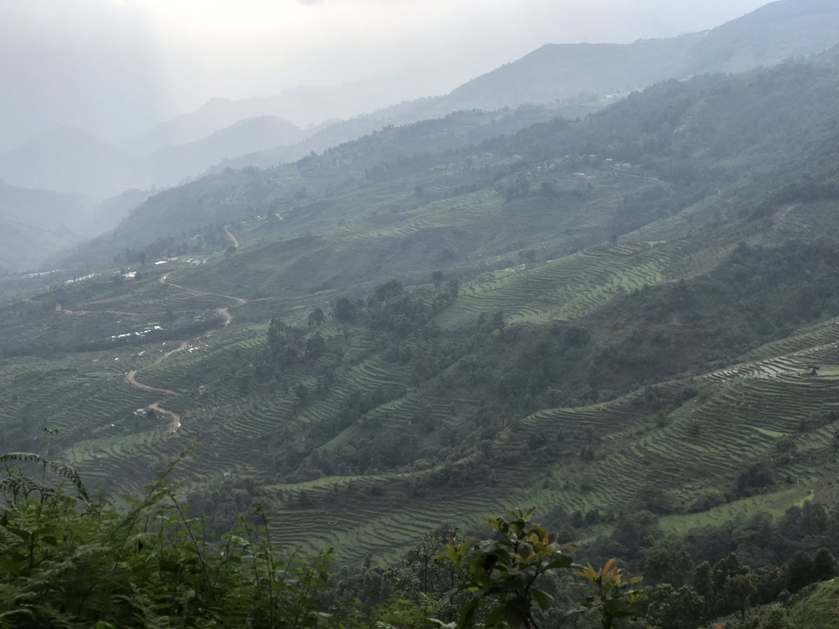 Bhadaure Tamagi, Kaski.