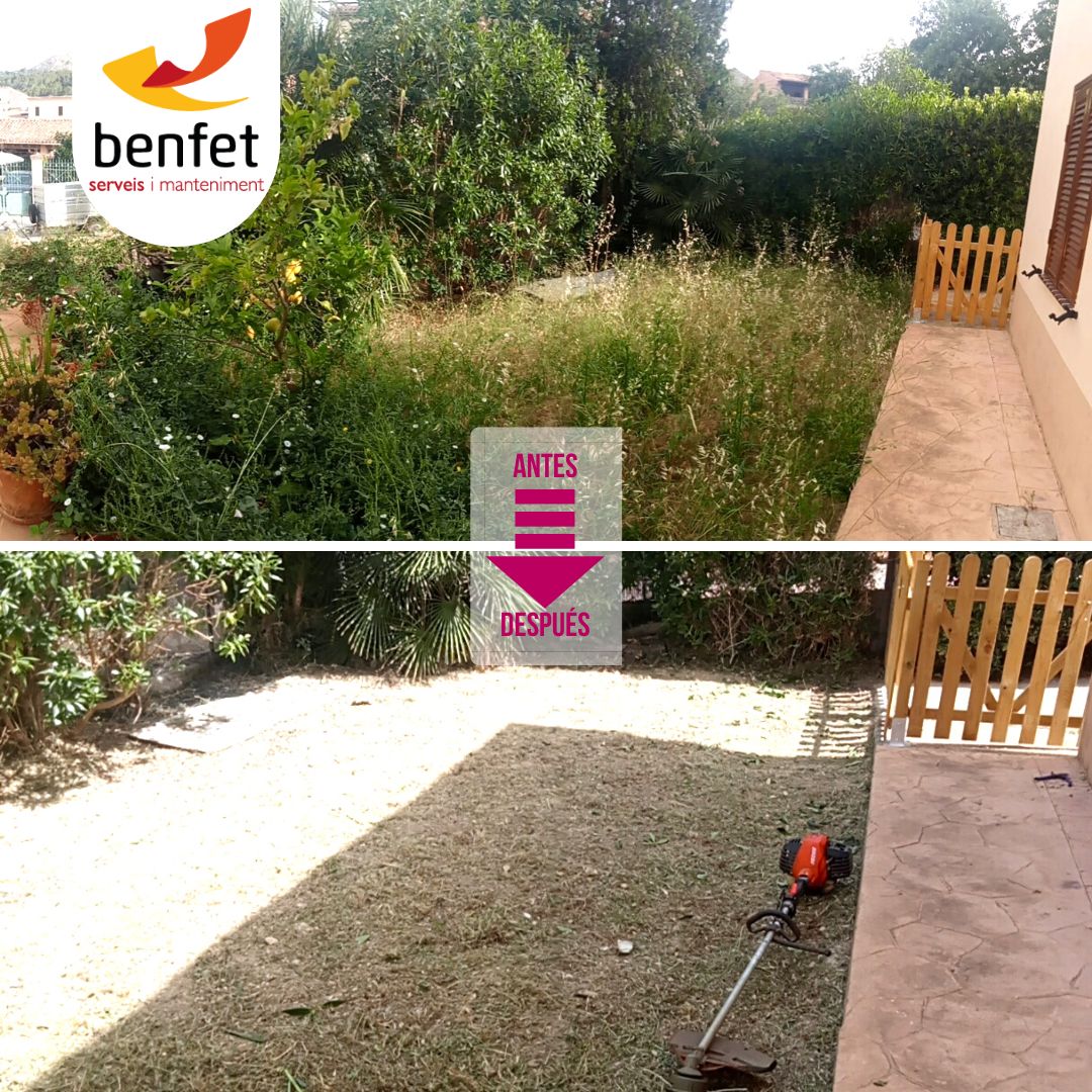 Trabajo de mantenimiento de jardín  🌴🌳(desbroce, poda y revisión de riegos)

¿Cómo tenéis vuestro espacio verde y relax? Si necesitas ponerlo a punto no dudes en ponerte en contacto con nosotros.

📞608 253 211
📝Presupuesto sin compromiso 👍
#Jardineria #Profesionales  #BenFet