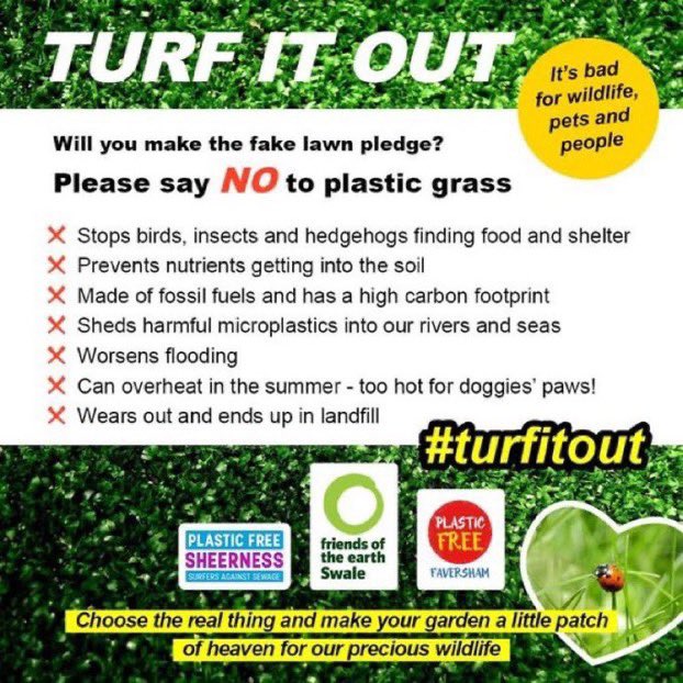 swale_foe's tweet photo. Did you, like us, sign the petition against plastic grass &amp; get the government’s infuriating response this morning? 

Acknowledged its negative impacts on nature but say they won’t ban it!😠 🤷🏻‍♀️

We need proper action against this damaging product please @Helen_Whately #turfitout https://t.co/JQLnOzDgNX