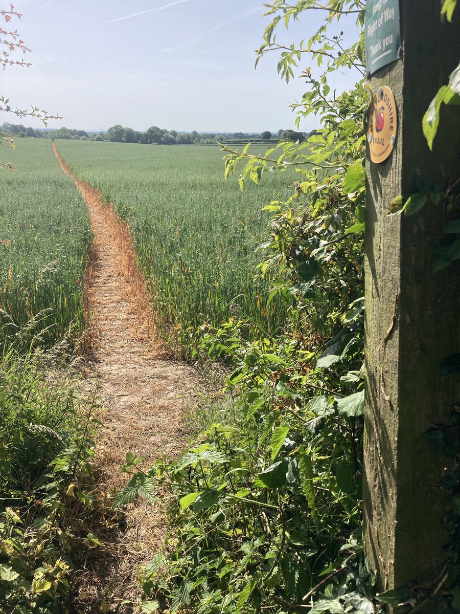 DeserterLee's tweet photo. #Herefordshire #Trail towards #Putley - Why aren’t all paths like this. @RamblersGB @Jesse_Norman @HfdWalking @HfdsCouncil #followtheapple . https://t.co/lVcx4sqa4H