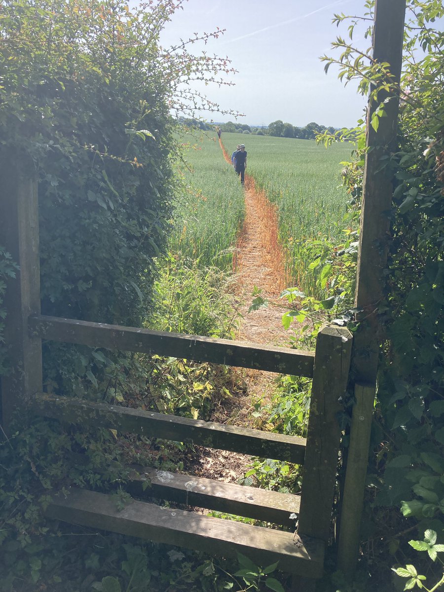 DeserterLee's tweet photo. #Herefordshire #Trail towards #Putley - Why aren’t all paths like this. @RamblersGB @Jesse_Norman @HfdWalking @HfdsCouncil #followtheapple . https://t.co/lVcx4sqa4H