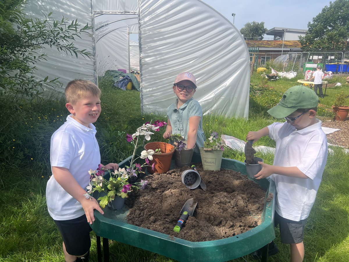 HT_forest's tweet photo. It’s World Picnic Day here at Hawthorns School.  Everyone is having a great time enjoying their sandwiches in the Sun and playing with their friends from other classes. 😀🥪#30dayswild @WildlifeTrusts @EcoSchools @HawthornsTweets @newbridgegroup @CLOtC @Hawthorns_PE @tamesidessp https://t.co/WvL9bwWCi9