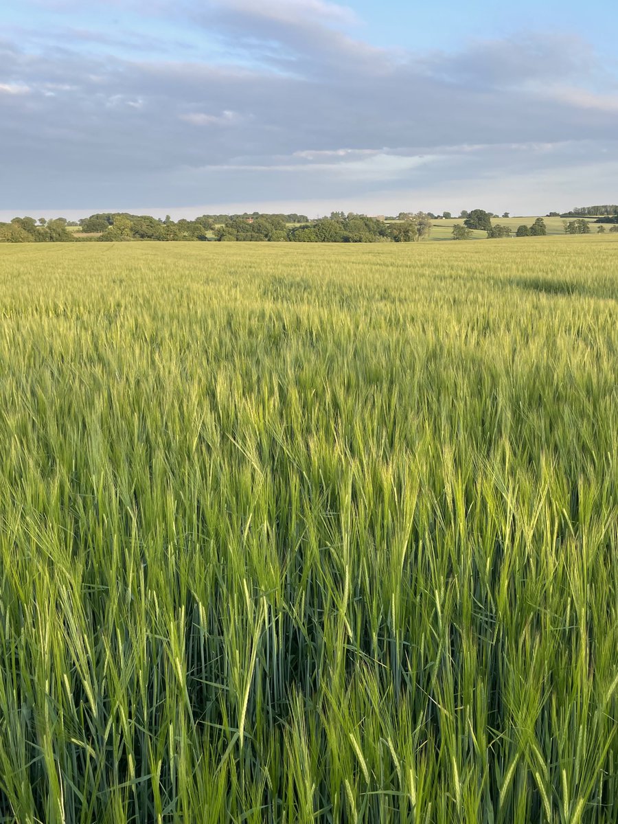 Covenbrook tweet media