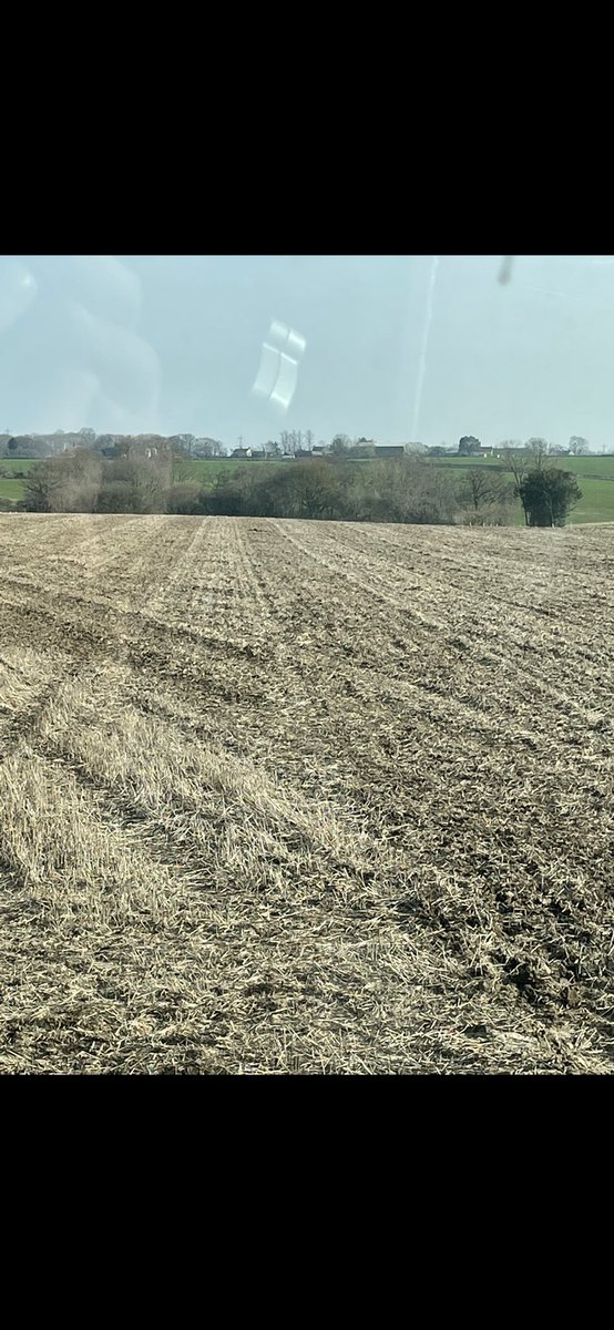 Covenbrook tweet media