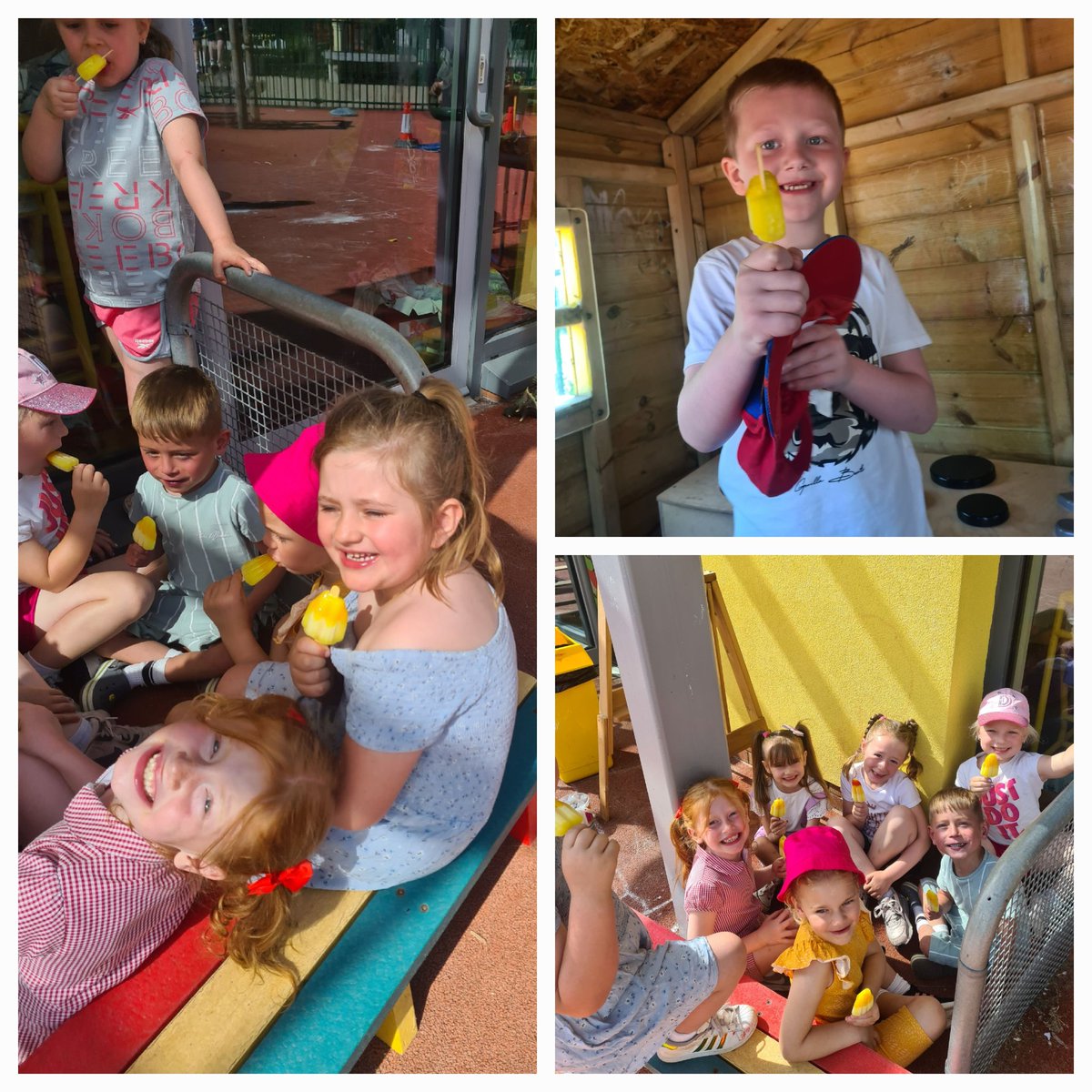 IDS year 7 tweet media