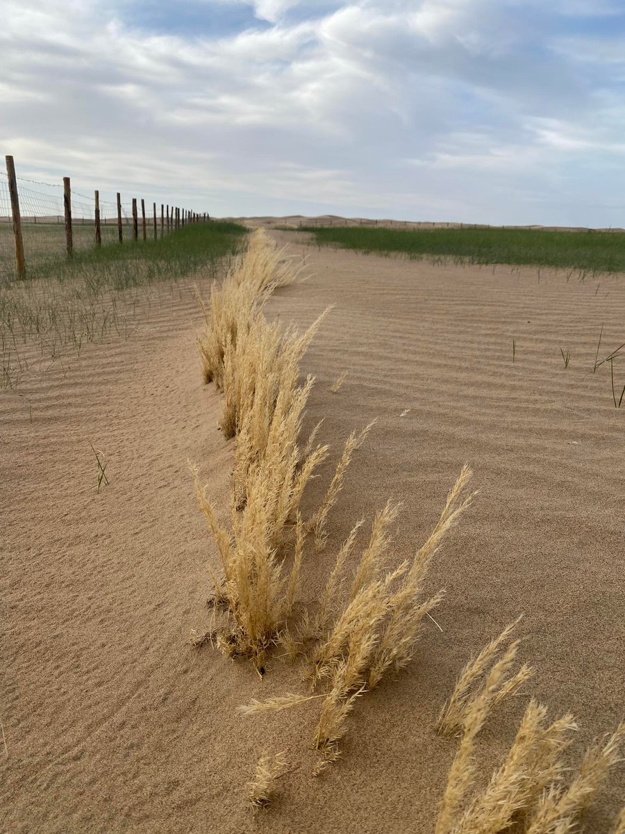 ийм л элстэй газар шүү дээ