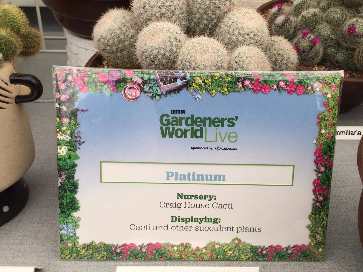 craighousecacti's tweet photo. Visiting Gardeners’ World Live? Come along and say hello to Platinum Award winners #cactuscouple for #cacti #succulents
#bbcgardenersworldlive #GardenersWorld #BBCGWSpringFair https://t.co/Rw0EqgDWXK