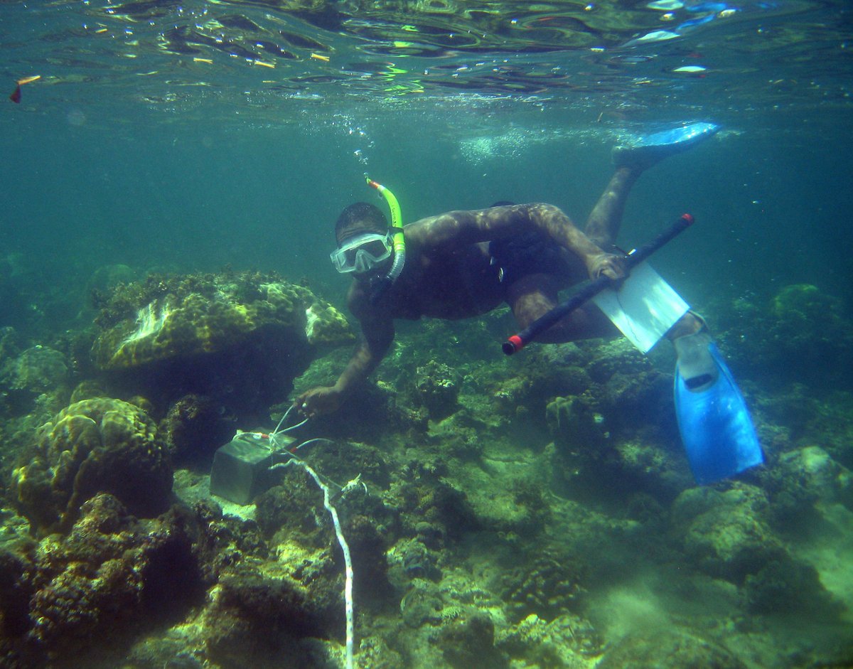 SMART Seas for MPAs tweet media