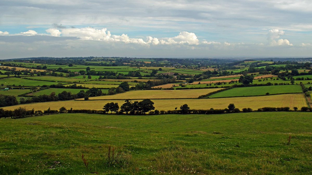 EU green research tweet media