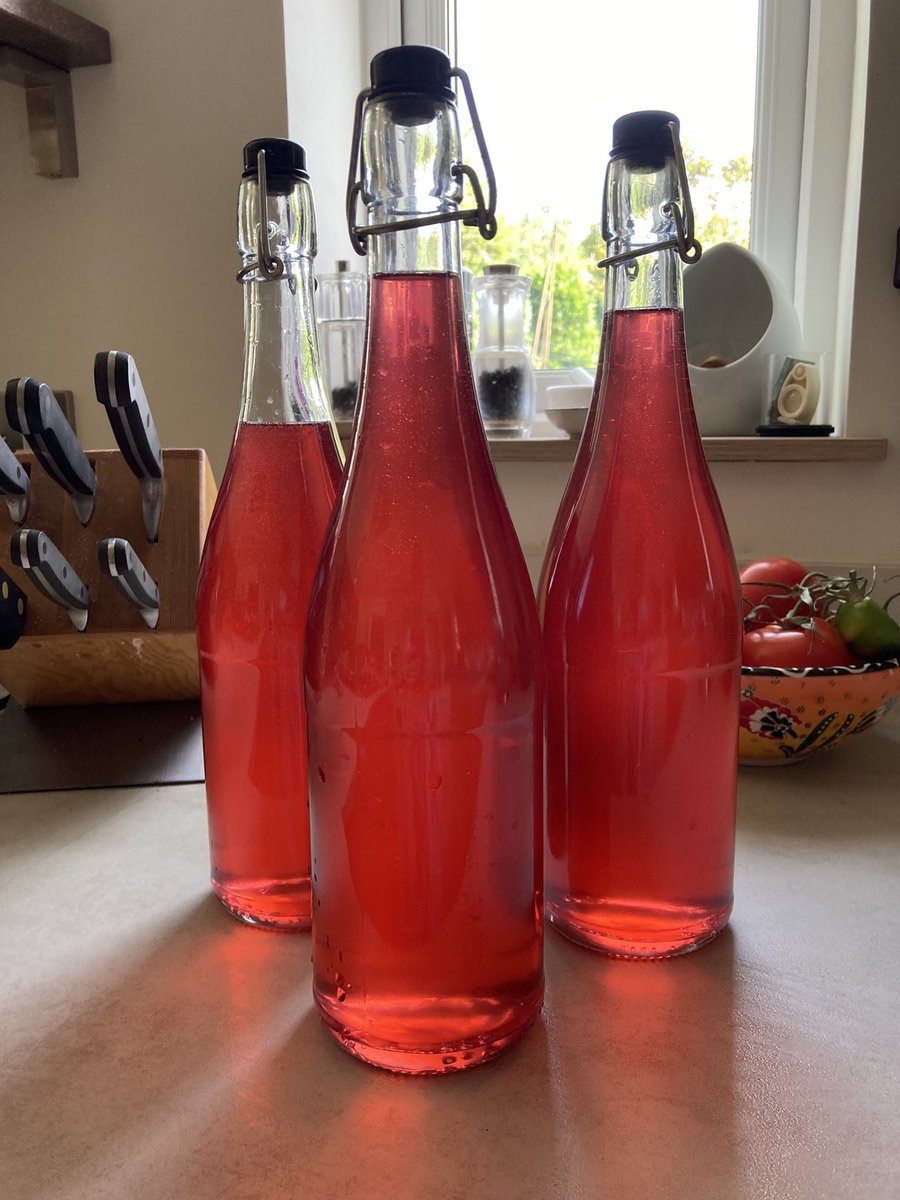LandShape's tweet image. Another beautiful batch of pink elderflower cordial made. #springcolours
