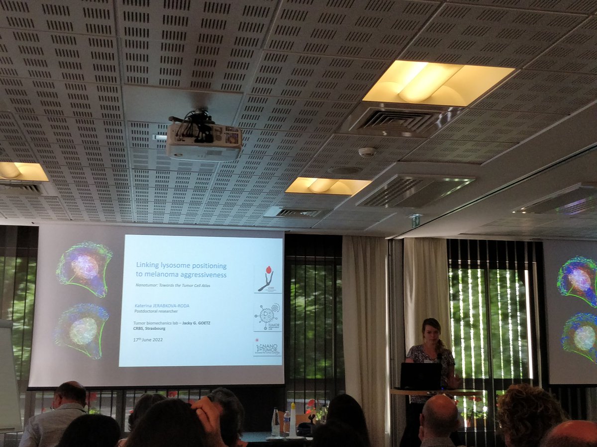 Benjamin MARY tweet media