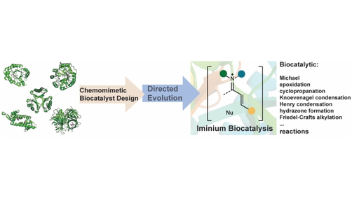 Angewandte Chemie tweet media