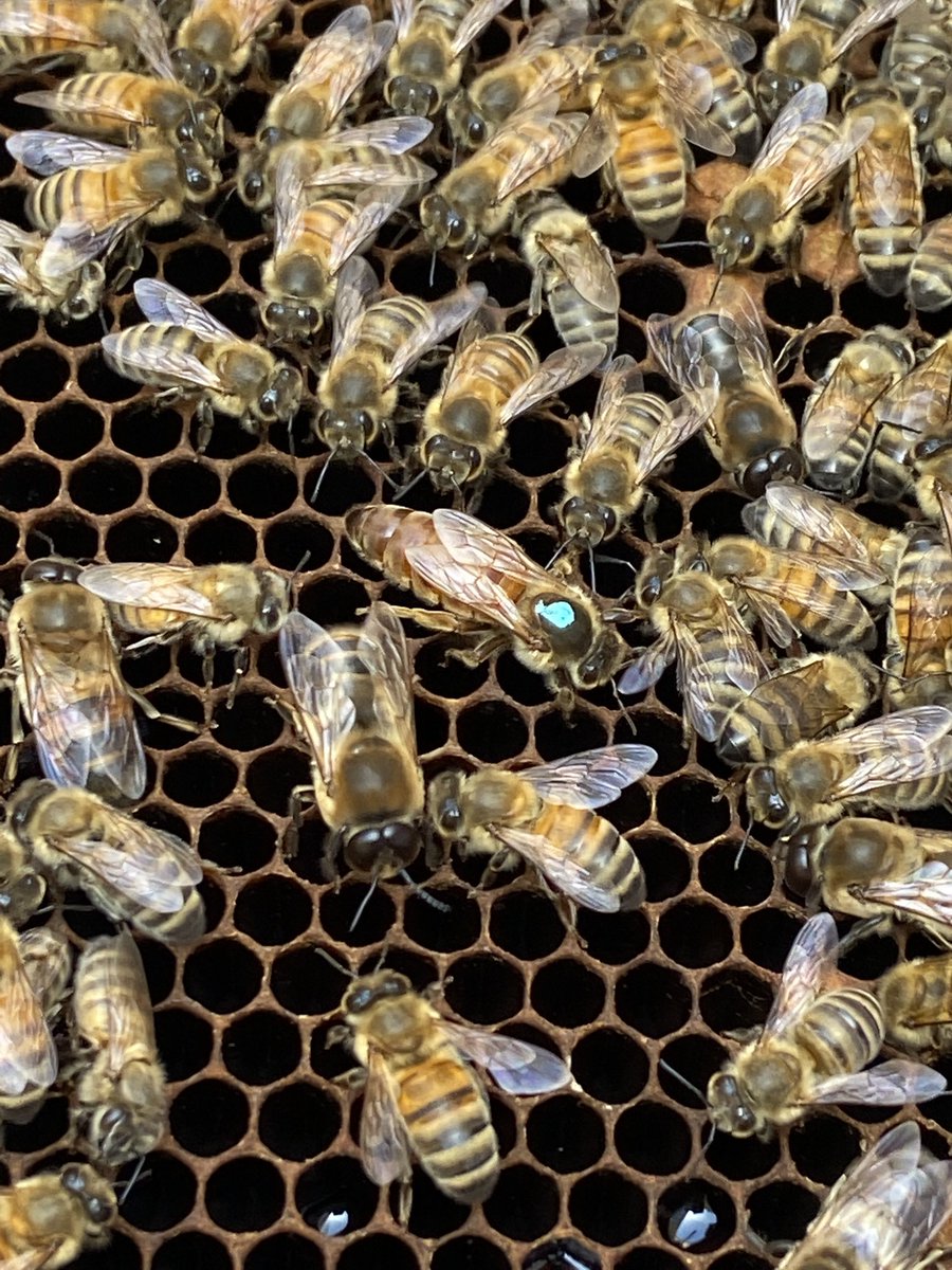 Tribunal Judiciaire de Dunkerque tweet media