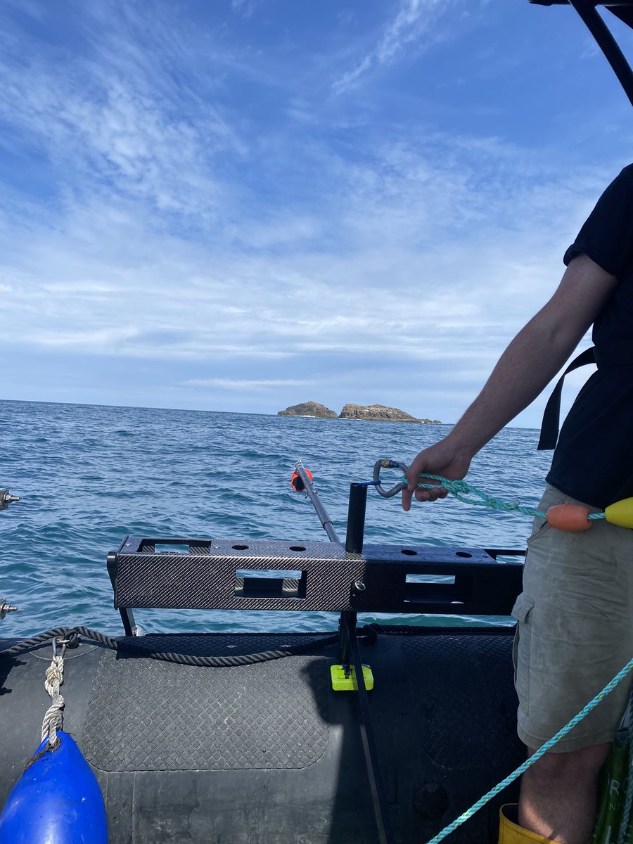 Isles of Scilly IFCA (@iosifca) on Twitter photo It’s been a great week to start deployments of carbon fibre stereo BRUVs from <a href="/meeuwiglab/">Meeuwig lab</a> @ExeterMarine that will allow us to not only determine species abundance and diversity but also accurately measure the size of species seen on camera 🦈 🐠 🦞 🦭 It’s been a great week to start deployments of carbon fibre stereo BRUVs from <a href="/meeuwiglab/">Meeuwig lab</a> @ExeterMarine that will allow us to not only determine species abundance and diversity but also accurately measure the size of species seen on camera 🦈 🐠 🦞 🦭