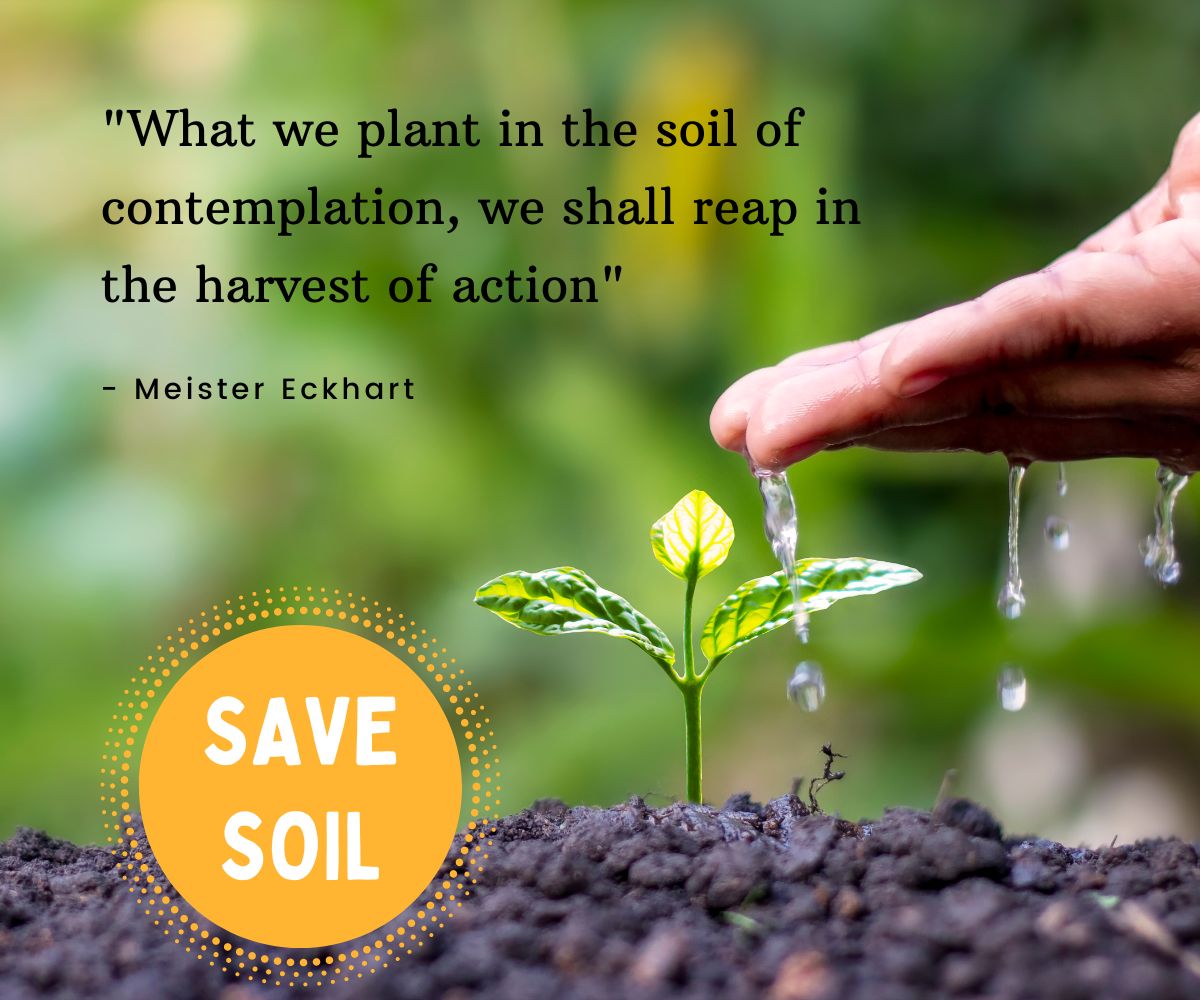Hola_Card's tweet photo. SOIL IS DYING

40% of soils are already degraded - UN

Most of us are aware of Air Pollution and Carbon Emissions, but few are concerned with saving Soil.

#savesoil #soilhealth #nature #environment #globalwarming #trees https://t.co/OUhTE5ypvp