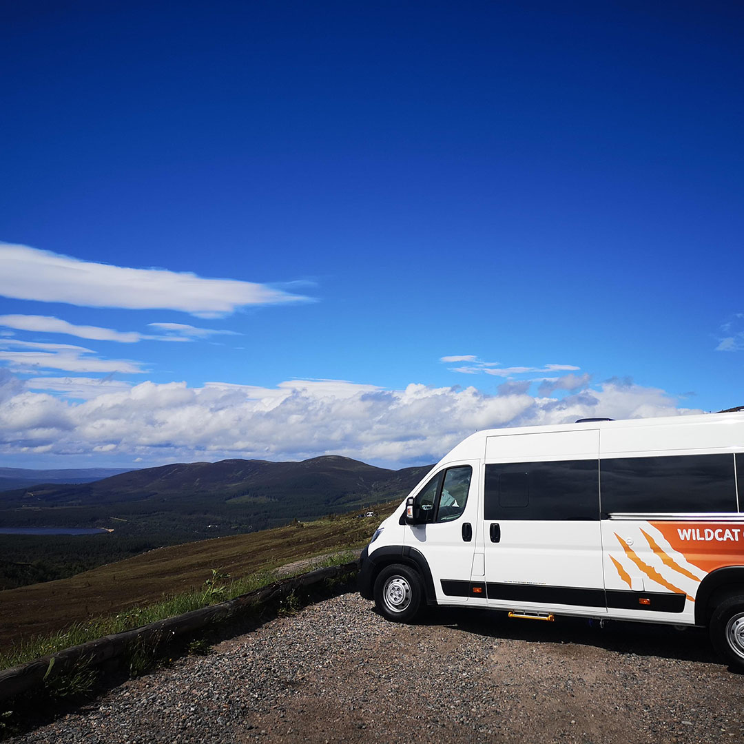 WildcatCamperv1's tweet image. Beautiful sunshine (and views) at the Cairngorms last weekend! 

Make this experience your own - hire a Campervan today. Call 0808 189 6129 or visit wildcatcampervans.com. 

#campervanhireUK