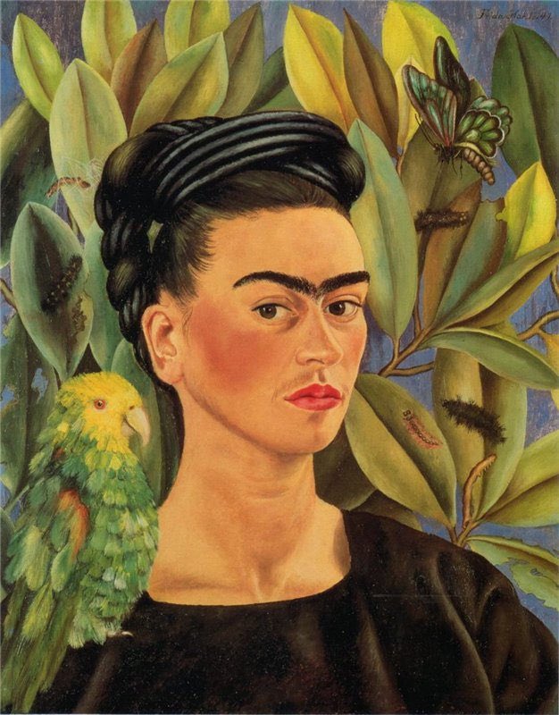 PodiumArt's tweet photo. Did you know that despite being one of the most celebrated female artists, becoming an artist was not her first aspiration. In fact, she had an interest in the sciences and biology. #FridaKahlo originally wanted to become a doctor before discovering her passion for art. https://t.co/2vICfKt0YV