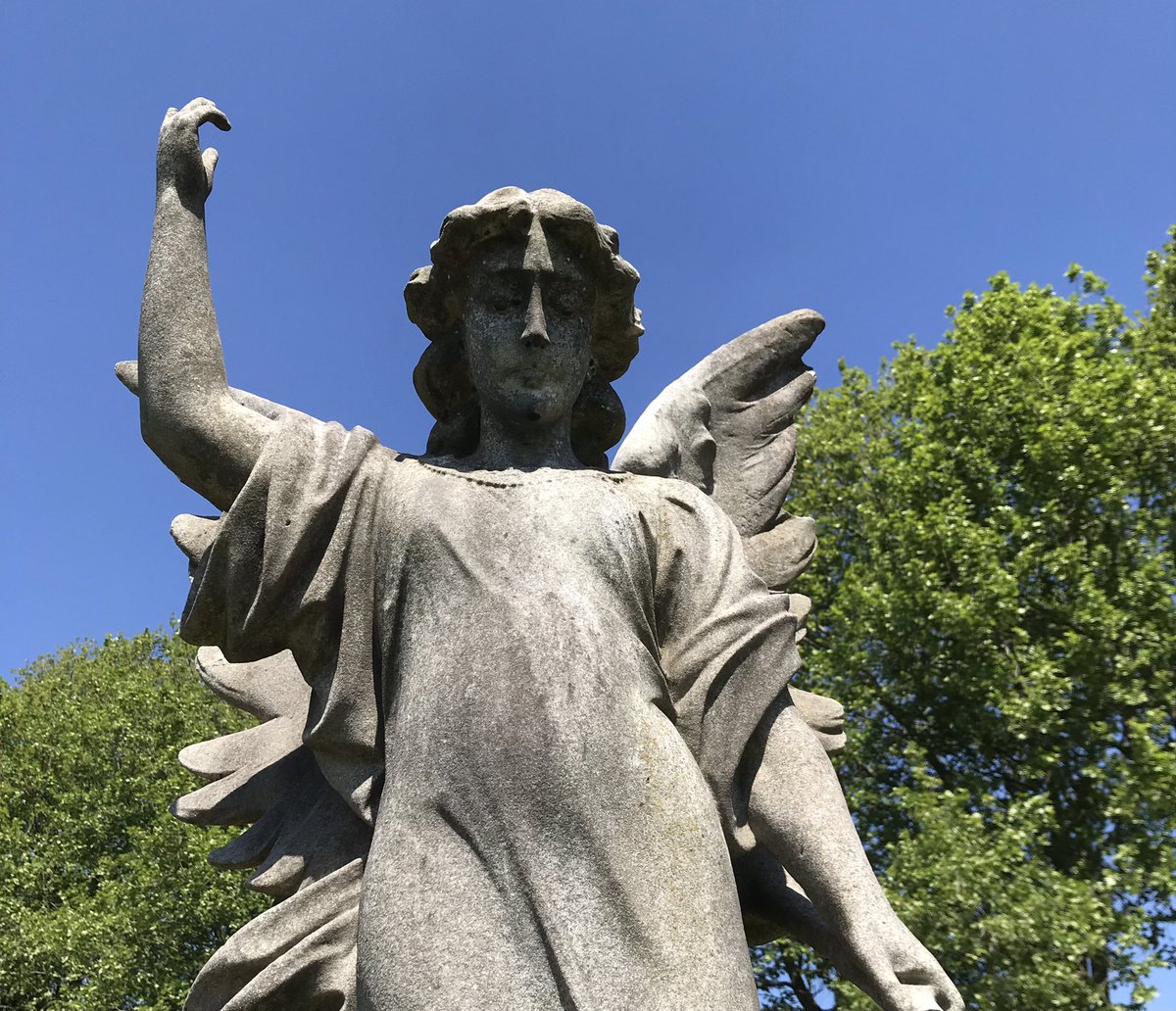 summerstown182's tweet photo. Let me introduce you to the #GreenFieldsOfBloomingTooting the stories behind the precious spaces that enrich our lives in so many ways #StreathamCemetery #FishpondsField #Springfield #GarrattGreen #AboyneEstate Guided Walk TOMORROW Starts 2pm #StreathamCemetery #GarrattLane https://t.co/mtSq2qOjxD