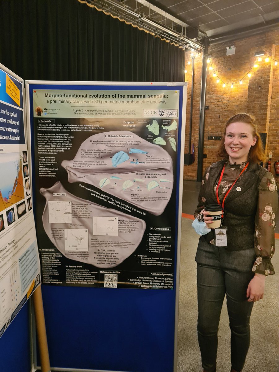 ProgPal2022's tweet image. What a week of palaeontology!  #progpal22