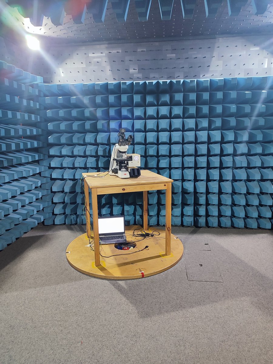 Sonicat Systems tweet media