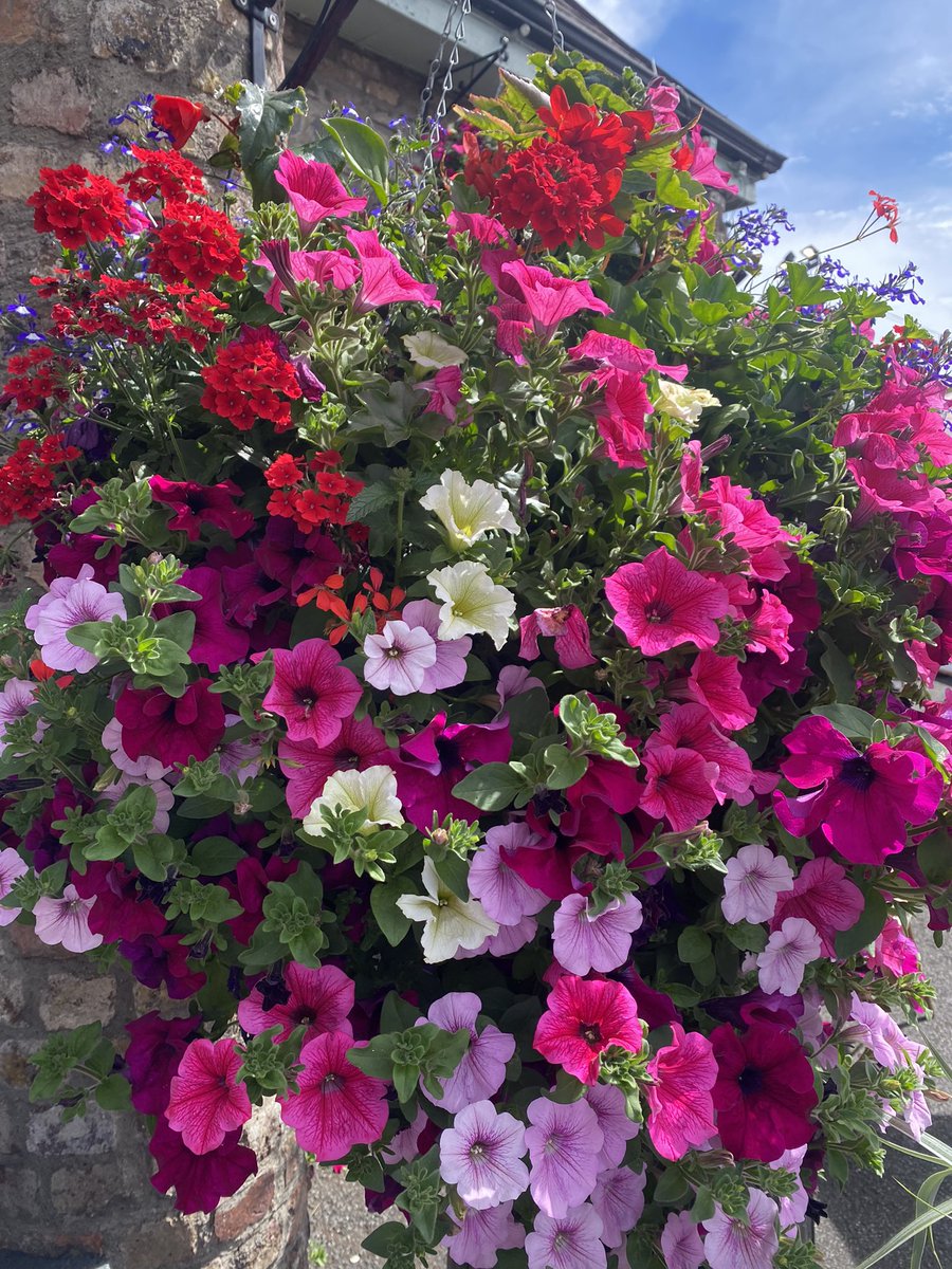 Summer flowers <a href="/TheLaurelsPub/">TheLaurelsClondalkin</a> #bloomingbaskets #clondalkinvillage